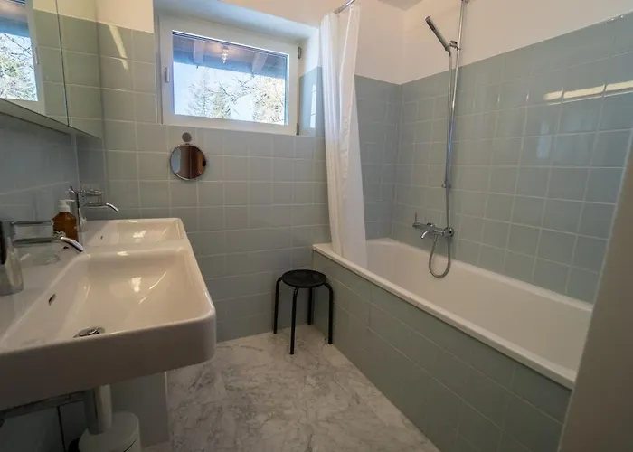 Choucas * גריון