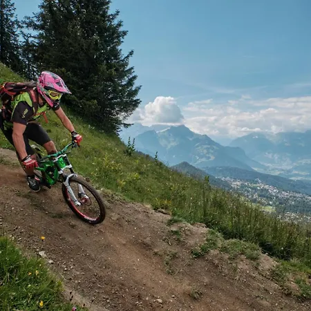 Choucas Chalet Gryon