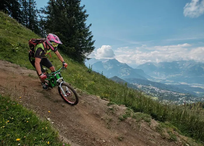 Choucas Domek alpejski Gryon