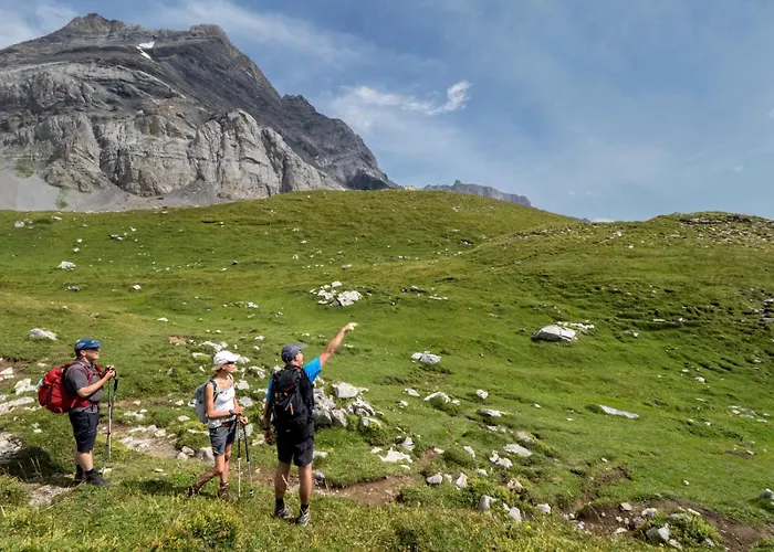 Choucas Domek alpejski